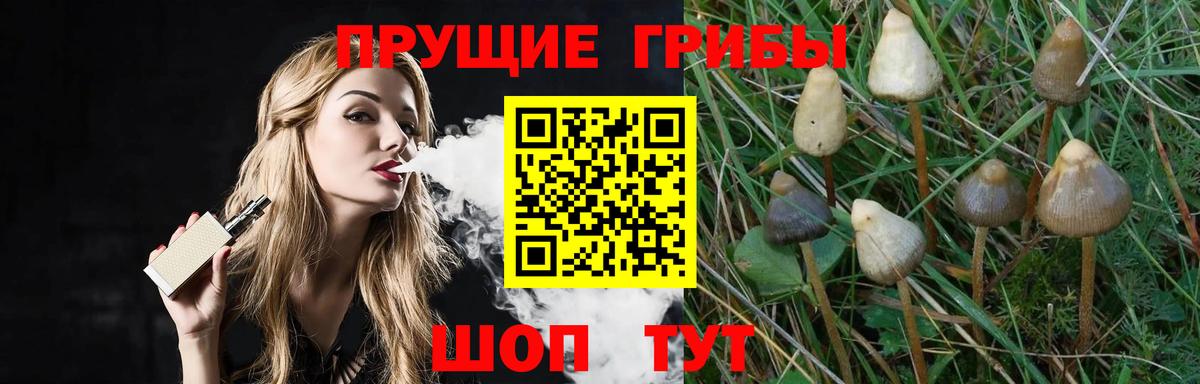 Галлюциногенные грибы Magic Shrooms Усть-Илимск